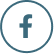 Ícone facebook